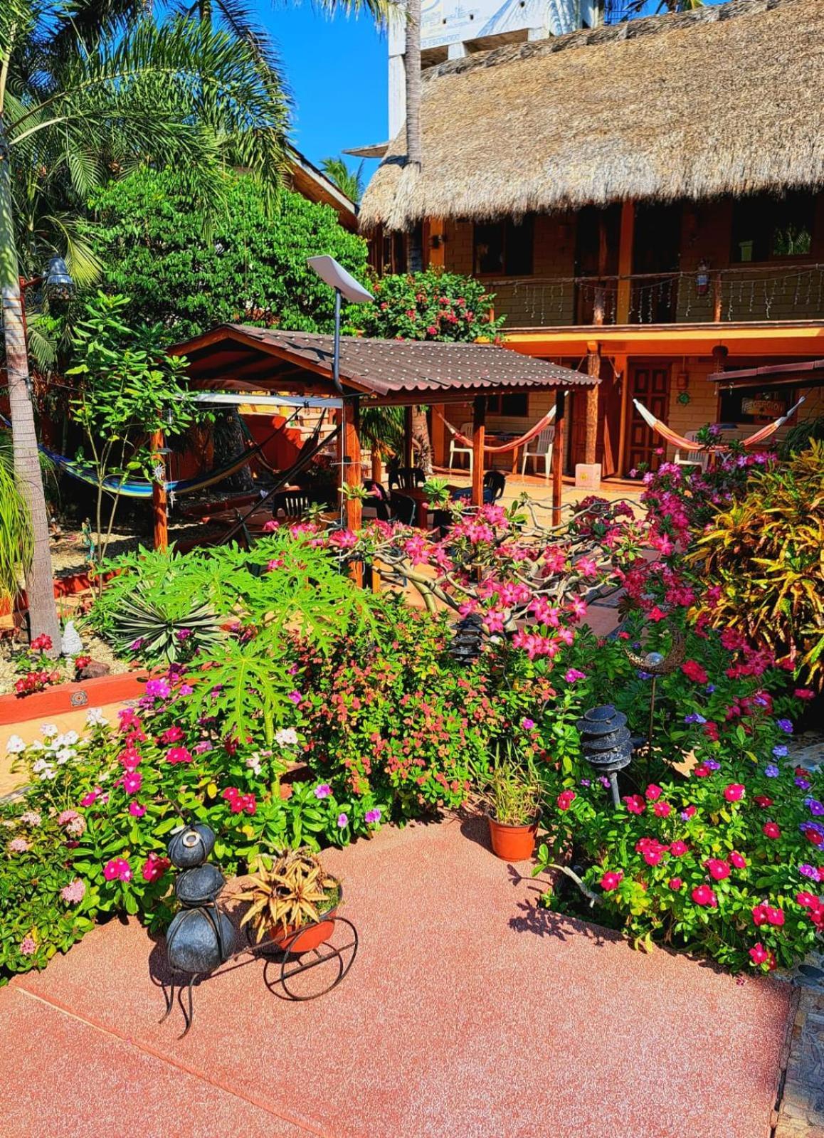 Hotelito Swiss Oasis At Playa Zicatela - Adults Only - No Groups - Kitchen - Swiss Managed Puerto Escondido  Exterior photo