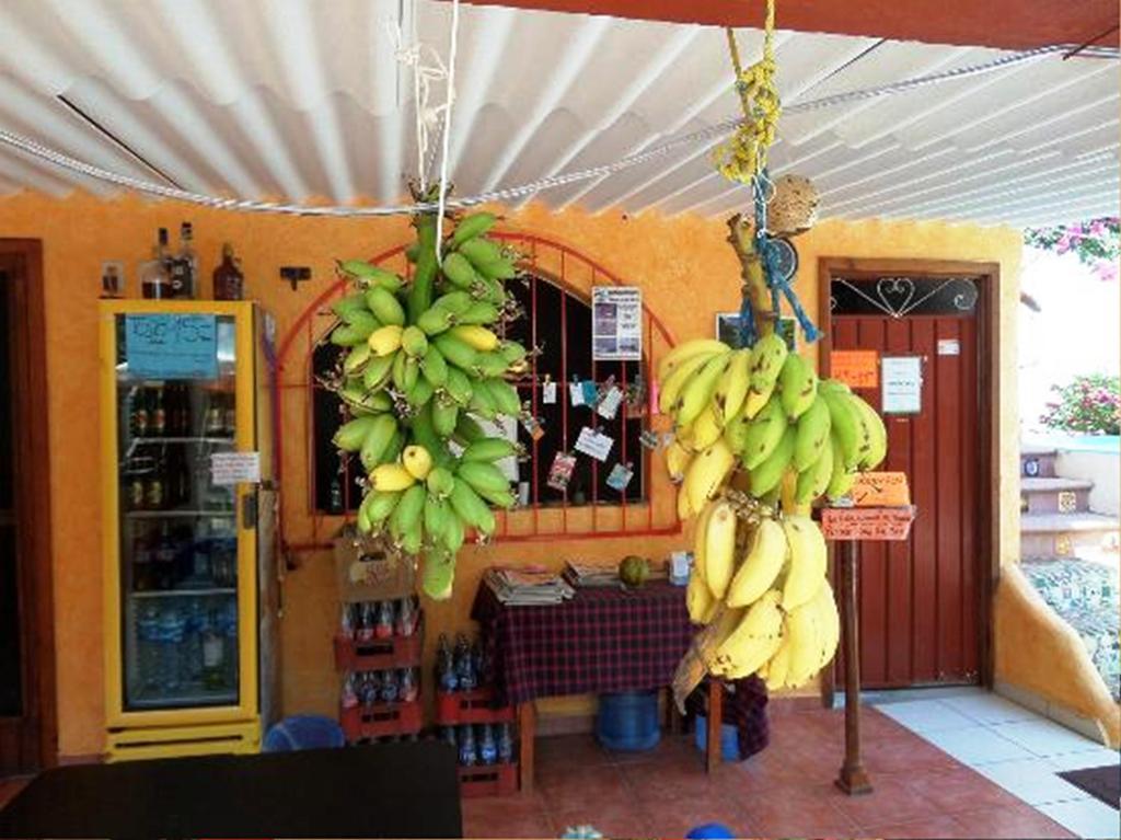 Hotelito Swiss Oasis At Playa Zicatela - Adults Only - No Groups - Kitchen - Swiss Managed Puerto Escondido  Exterior photo