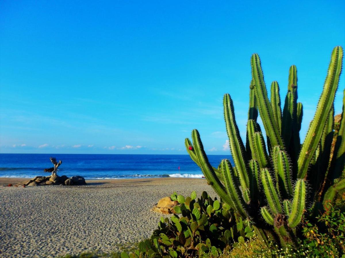 Hotelito Swiss Oasis At Playa Zicatela - Adults Only - No Groups - Kitchen - Swiss Managed Puerto Escondido  Exterior photo
